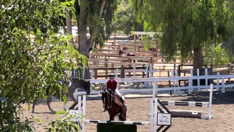 Mujer-Joven-Toma-Un-Caballo-Sobre-Un-Salto-En-La-Práctica-Y-El-Entrenamiento-Ecuestre