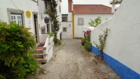 Flowers-and-Greenery-Grows-in-Old-Ancient-Street-in-Castle-of-Óbidos
