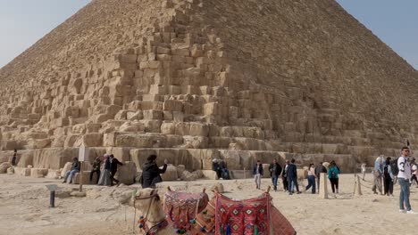 Einsames-Kamel,-Das-Neben-Den-Stufen-Der-Khufu-Pyramide-Sitzt,-Mit-Touristen,-Die-Im-Hintergrund-Spazieren-Gehen