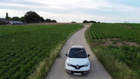 Frau,-Die-Einen-Renault-Auf-Einer-Unbefestigten-Straße-Zwischen-Den-Feldern-Von-Scherpenheuvel,-Belgien,-Fährt