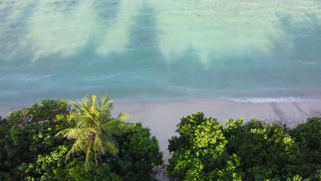 Strandküste,-Wellen-Plätschern-Sanft-Zu-Einem-Ufer-Mit-Palmen-Und-Anderer-Tropischer-Vegetation