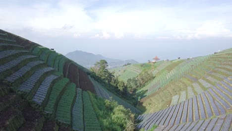 Luftflug-über-Terrassierte-Gemüseplantage-Am-Hang-Des-Mount-Sumbing-In-Zentral-Java,-Indonesien