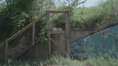 medium-day-exterior-of-overgrown-wooden-staircase