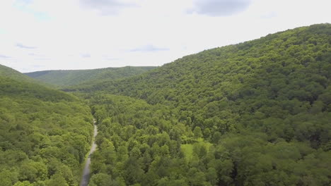 Revealing-drone-shot-of-Lyman-Run-State-Park-in-Pennsylvania