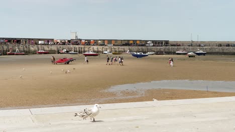 Grupo-De-Personas-Caminando-Por-La-Playa-De-Margate-En-Canoas-Rodantes-De-Marea-Baja-Con-Gaviotas-Caminando-Por-Los-Pasos-De-Los-Reyes