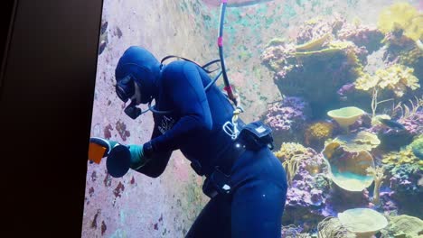 Taucher-Reinigt-Ein-Großes-Aquarium-S