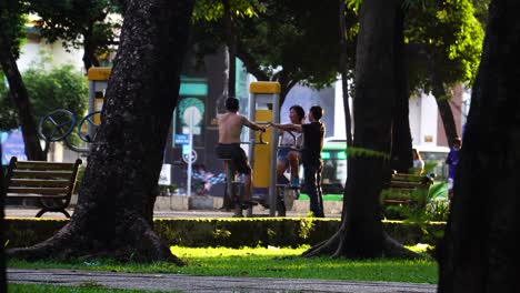 Gruppe-Alter-Asiaten-Im-Ruhestand,-Die-Im-öffentlichen-Park-An-Maschinen-Trainieren