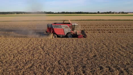 Ferguson-Mähdrescher,-Getreideerntemaschine,-Die-Weizen-Auf-Landwirtschaftlichem-Gebiet-Erntet,-Drohnen-Luftbild