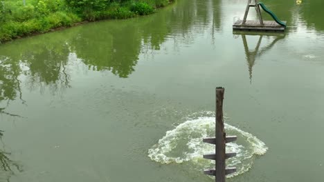 Young-teenage-boy-doing-backflip-off-of-wooden-dock-at-pond