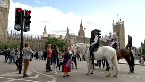 Se-Reunió-Con-La-Policía-Montada-A-Caballo-Saludando-A-Los-Turistas-En-La-Plaza-Del-Parlamento-Cerrada-En-Londres