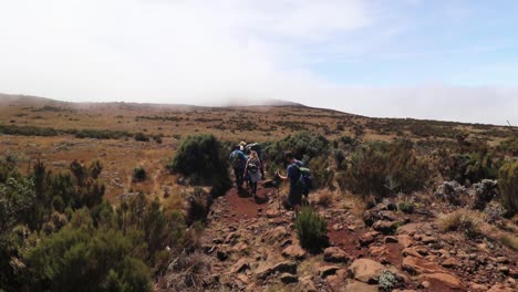 Static-shot-of-a-group-of-people-hiking-on-the-uhuru-trail