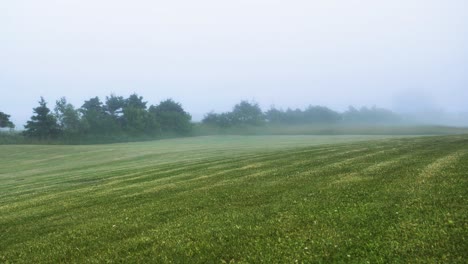 Niebla-Matutina-Despegando-De-Un-Campo-Verde