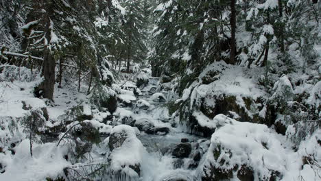 A-small-creek-flowing-through-a-dense-Alaskan-forest-covered-in-snow,-in-Girdwood-Alaska