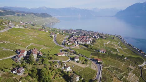 Volando-Alto-Sobre-Grandvaud-Y-Cully-Con-El-Lago-Léman-Y-Los-Alpes-En-El-Fondo-Lavaux---Suiza