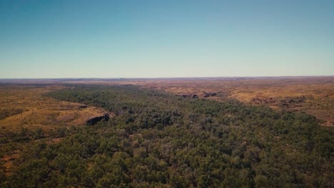 Drone-Aéreo-Vista-De-Pájaro-Inclinación-Lenta-Hacia-Arriba-A-Través-Del-Río-Interior-Del-Oasis-Del-Desierto-Australiano