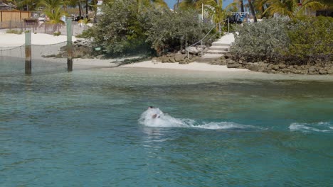 Woman-gets-pushed-through-water-by-dolphans-on-excursion