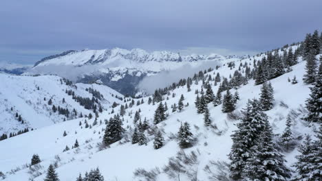 Luftaufnahme,-Die-An-Der-Seite-Eines-Schneebedeckten-Berghangs-Mit-Pinien-Und-Einer-Bergkette-In-Der-Ferne-Fliegt