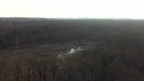 [DRONE]-push-in-over-trees-revealing-a-swamp-in-the-middle-of-woods-in-spring
