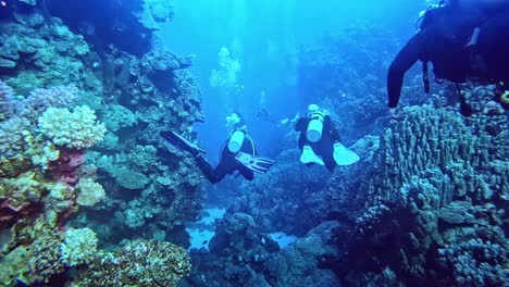 Group-of-divers-entering-into-the-coral-reef-garden
