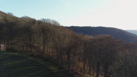 Vista-Panorámica-Del-Histórico-Teatro-Al-Aire-Libre-Y-Montañas-Con-Valle-En-Heidelberg-Alemania