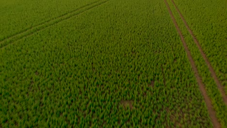Drone-speeding-towards-sky-with-green-field