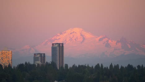 Mount-Baker-Glowing-in-the-Evening-Sun,-High-rise-Buildings-Foreground
