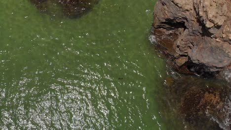 Aerial-drone-footage-of-a-beach-cove-in-the-Caribbean-sea