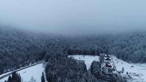 Langsame-Rampe-In-Den-Mysteriösen-Nebelwald-Während-Der-Wintersaison