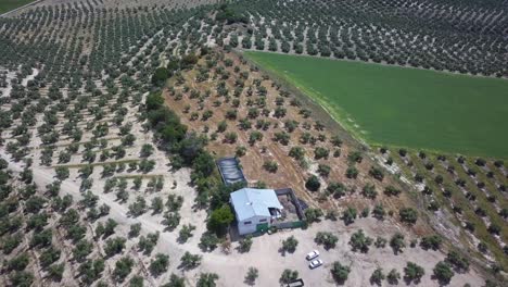 Aerial-view-of-a-warehouse-of-olives-in-the-south-of-Spain-surrounded-by-olive-trees
