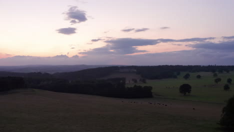 Rückwärts-Luftaufnahme-Einer-Einsamen-Eiche-Und-Kühe-In-Richtung-Eines-Landhauses-Bei-Sonnenuntergang-Mit-Einer-Schmalen-Ernte