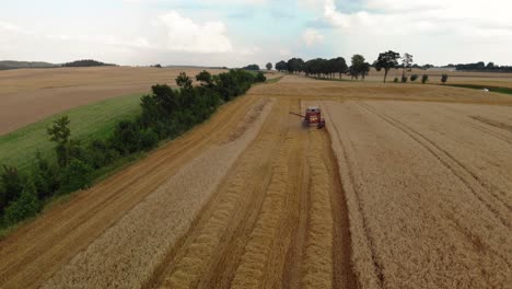 Aerial-View-Of-Combine-Harvester-Gathers-The-Golden-Wheat-Crop-On-Farmland-In-4K