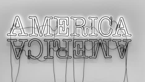 &quot;doble-América-2&quot;-Es-Una-Historia-De-Dos-Países-En-La-Interpretación-Metafórica-De-Glenn-Ligon-De-La-Política-Estadounidense-Actual