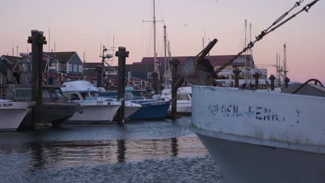Slow-pan-across-many-fisherman’s-fishing-vessels-boats-docked-at-a-wharf-pier-on-a-beautiful-winter-evening-with-pink-sky-and-birds-flying-in-the-background