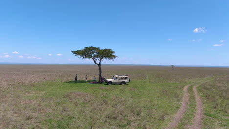 Toma-De-Drones-Safari-De-Personas-Y-Vehículos-4x4-Cerca-Del-árbol-De-Acacia