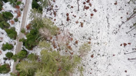 Drone-flight-over-a-snowy-rooad-in-a-forest-as-top-down-shot-at-the-beginning,-changing-into-a-look-up-shot-at-an-idyllic-house-in-the-middle-of-a-rural-natural-scenery