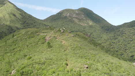 Selva-Tropical-Montaña,-Brasil,-América-Del-Sur