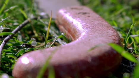 Close-up-footage-of-isolated-thrown-hand-saw,-at-grass-surface,-reveal-shot