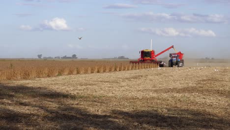 Una-Cosechadora-Se-Mueve-Hacia-La-Cámara-Arrojando-Soja-En-Un-Vagón-De-Granos-En-La-Zona-Rural-De-Santa-Fe,-Argentina