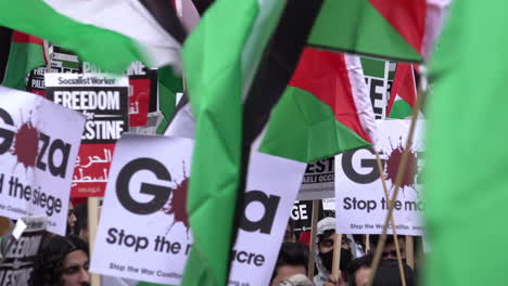 People-hold-placards-and-wave-flags-at-a-pro-Palestinian-protest-against-Israeli-military-action-on-Gaza