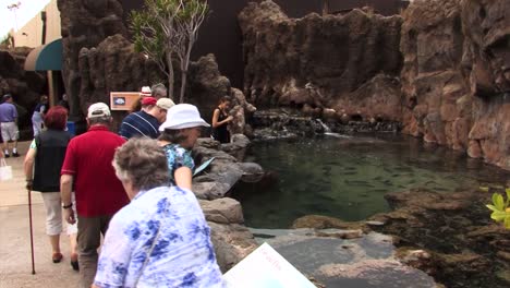 Tourists-visiting-Maui-Ocean-Center,-Maalaea,-The-Aquarium-of-Hawaii