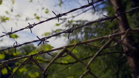 Close-up-trucking-shot-of-old-rusty-fence-with-barbed-wire-in-front-of-forest-trees-on-military-area
