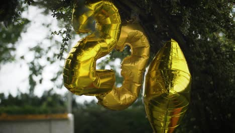 Goldene-Luftballons-Zum-23.-Geburtstag-Hängen-Beim-Sommerfest-Im-Garten