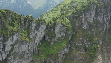 Volando-Hacia-La-Cima-De-Una-Hermosa-Montaña-Verde-En-Suiza