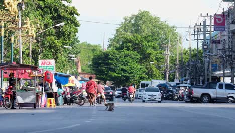 Urban-Wildlife,-Ein-Individuum,-Das-In-Der-Mitte-Einer-Belebten-Straße-Gesehen-Wurde,-Kreuzt-Sich-Dann-Mit-Anderen-In-Lopburi,-Thailand,-Langschwanzmakaken-Macaca-Fascicularis,-Bummelt-Herum-Und-überquert-Eine-Belebte-Straße