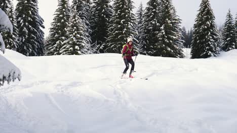 Young-skilled-woman-skiing-downhill-in-slow-motion