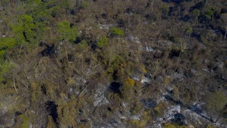 Destruction-of-the-Amazon-rain-forest-biome-from-wildfire,-global-warming,-climate-change-and-greenhouse-gasses---aerial-pull-back-flyover