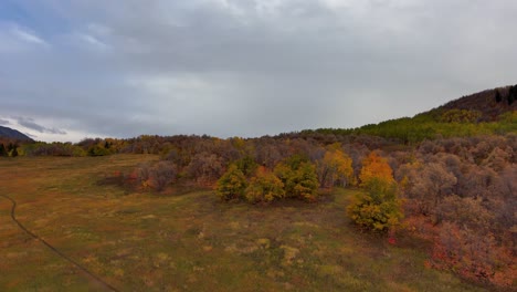 Panoramic-aerial-view-of-a-mountain-meadow-and-forest-in-autumn-with-the-fall-colors-brightly-displayed