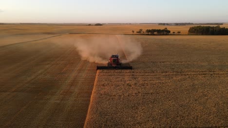 4k-aerial-frontal-drone-view-of-a-modern-combine-harvesting-wheat-crop-in-Alberta,-Canada