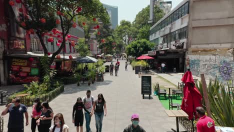 Niedriger-Winkel-Aus-Der-Luft-über-Dem-öffentlichen-Promenadenpark-La-Condesa,-Passanten