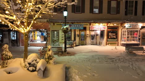 Cafetería,-Ben-Jerry&#39;s-En-Invierno-Nieve